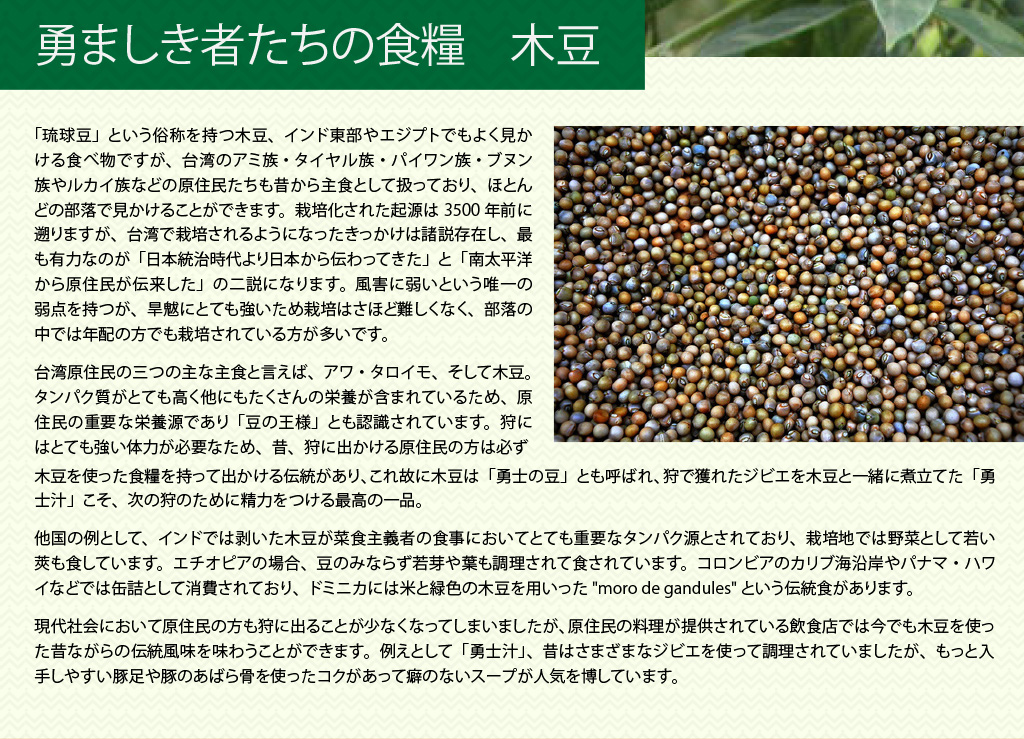 勇ましき者たちの食糧　木豆

「琉球豆」という俗称を持つ木豆、インド東部やエジプトでもよく見かける食べ物ですが、台湾のアミ族・タイヤル族・パイワン族・ブヌン族やルカイ族などの原住民たちも昔から主食として扱っており、ほとんどの部落で見かけることができます。栽培化された起源は3500年前に遡りますが、台湾で栽培されるようになったきっかけは諸説存在し、最も有力なのが「日本統治時代より日本から伝わってきた」と「南太平洋から原住民が伝来した」の二説になります。風害に弱いという唯一の弱点を持つが、旱魃にとても強いため栽培はさほど難しくなく、部落の中では年配の方でも栽培されている方が多いです。

台湾原住民の三つの主な主食と言えば、アワ・タロイモ、そして木豆。タンパク質がとても高く他にもたくさんの栄養が含まれているため、原住民の重要な栄養源であり「豆の王様」とも認識されています。狩にはとても強い体力が必要なため、昔、狩に出かける原住民の方は必ず木豆を使った食糧を持って出かける伝統があり、これ故に木豆は「勇士の豆」とも呼ばれ、狩で獲れたジビエを木豆と一緒に煮立てた「勇士汁」こそ、次の狩のために精力をつける最高の一品。

他国の例として、インドでは剥いた木豆が菜食主義者の食事においてとても重要なタンパク源とされており、栽培地では野菜として若い莢も食しています。エチオピアの場合、豆のみならず若芽や葉も調理されて食されています。コロンビアのカリブ海沿岸やパナマ・ハワイなどでは缶詰として消費されており、ドミニカには米と緑色の木豆を用いった