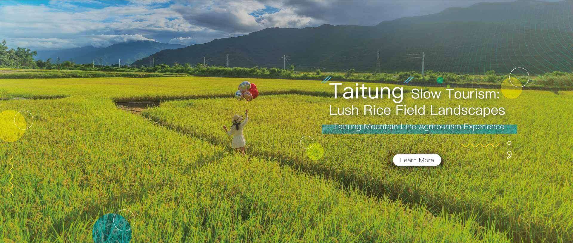 Taitung slow Tourism:Lush Rice Field Landscapes