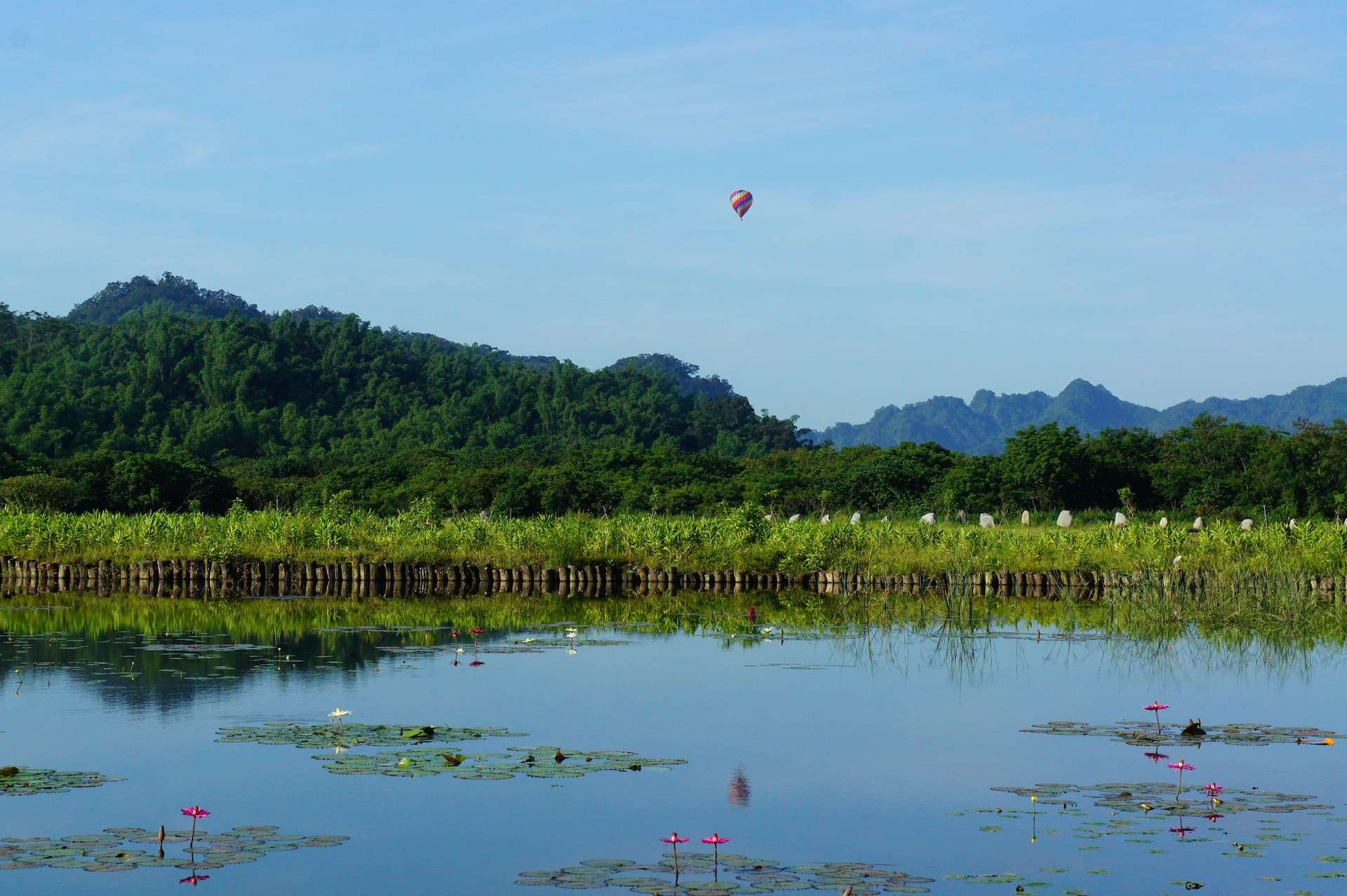 3rd Stop: Luye Healing Views - Xinliang Wetlands