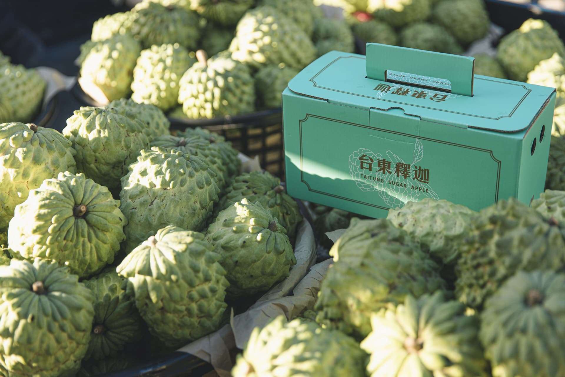 Bring the Sugar Apples Home! The Must-buy Taitung Gift of 2022